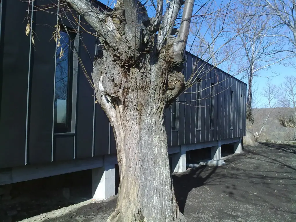 fachadas de Zinc anthra cabeza de manzaneda